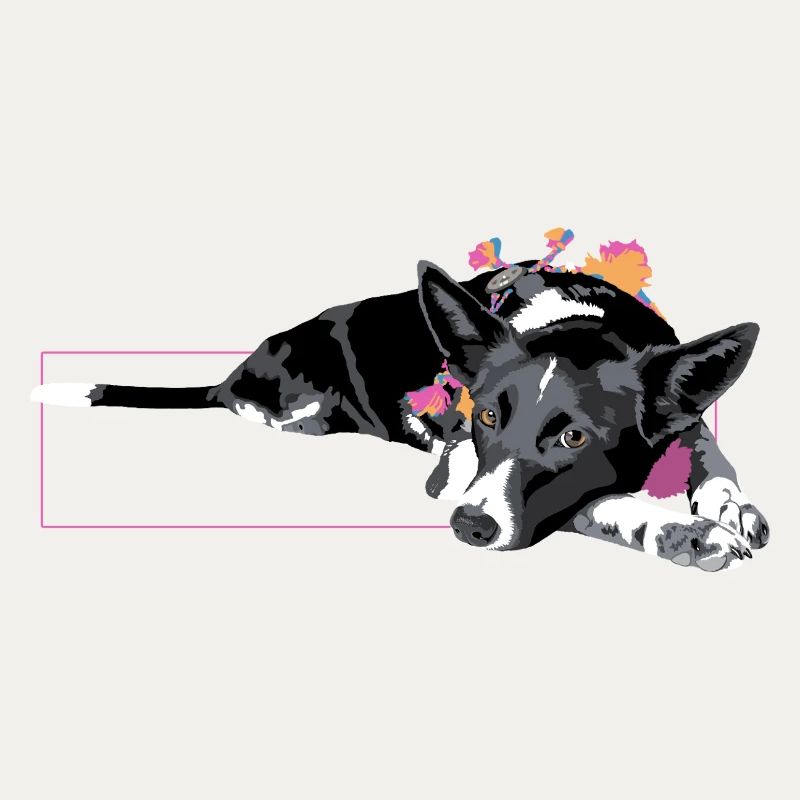 Border Collie III