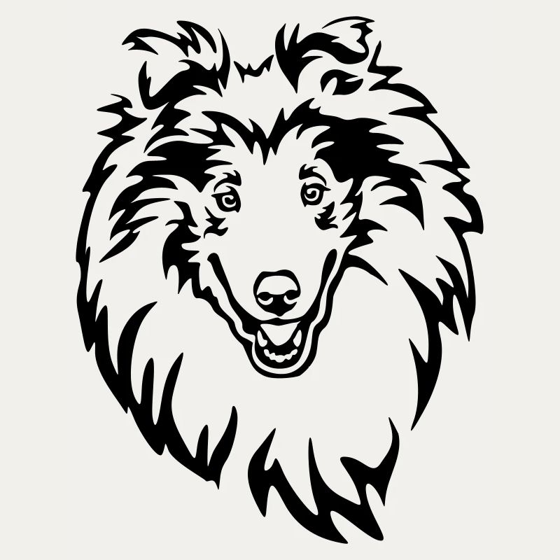 Tête de Collie