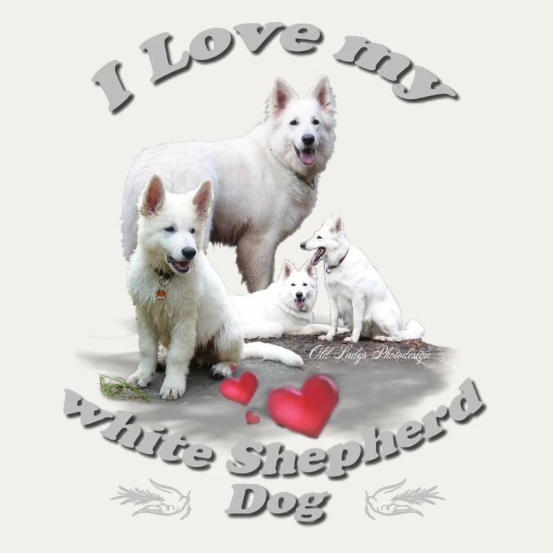 white shepherd dog