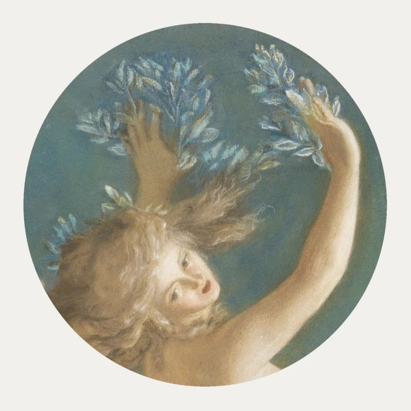 Daphne wird zu einem Lorbeerbaum