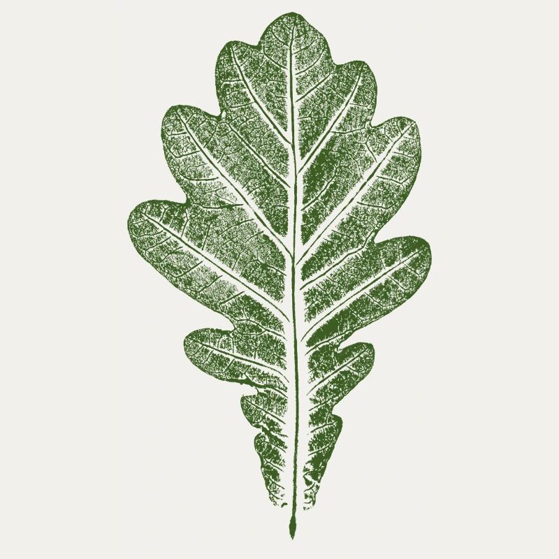 Blatt Eiche - Eichenblatt / Natur & Wald Design