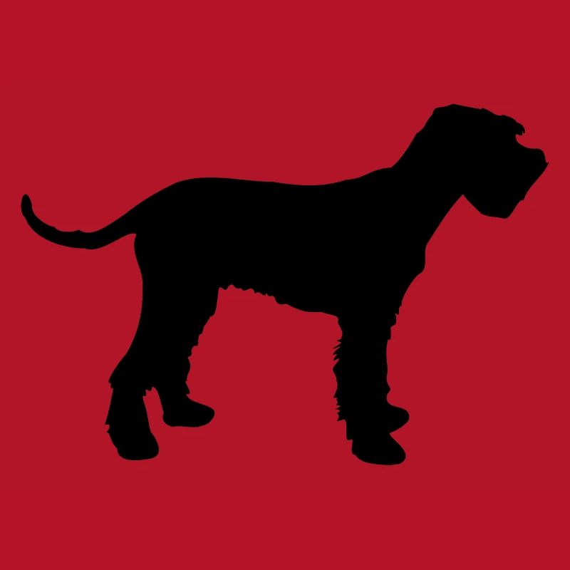 schnauzer géant