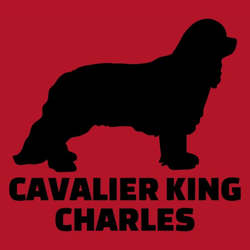 Cavalier King Charles
