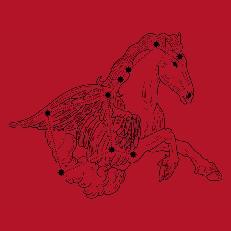 Constellation