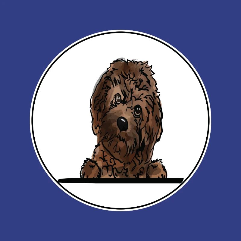 Cavapoo Dog for Peeking Dog Lovers