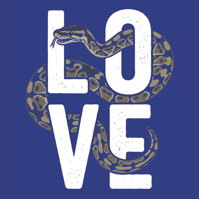 Les serpents rois Python ADORENT les pythons de terrarium
