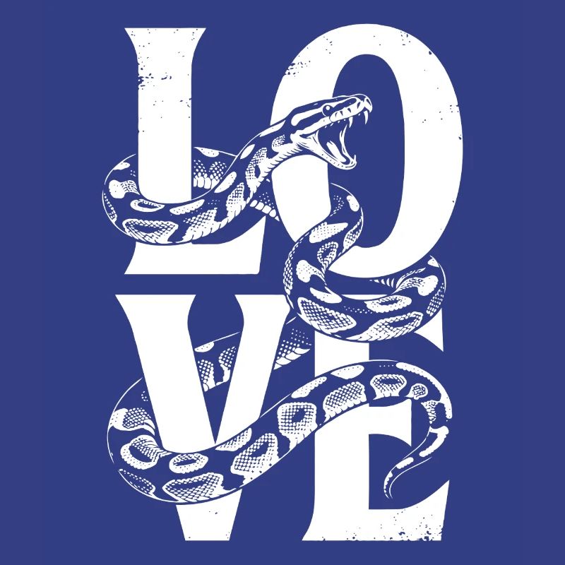 Königspython Schlangen LOVE Terrarium Python