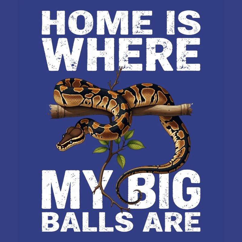 Königspython Schlangen Liebhaber Terrarium Python