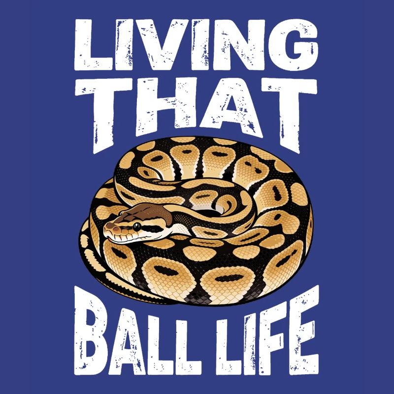 Königspython Schlangen Liebhaber Terrarium Python