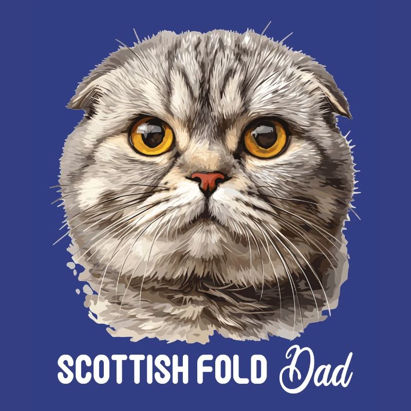 Scottish Fold Kitten Scottish Fold Cat
