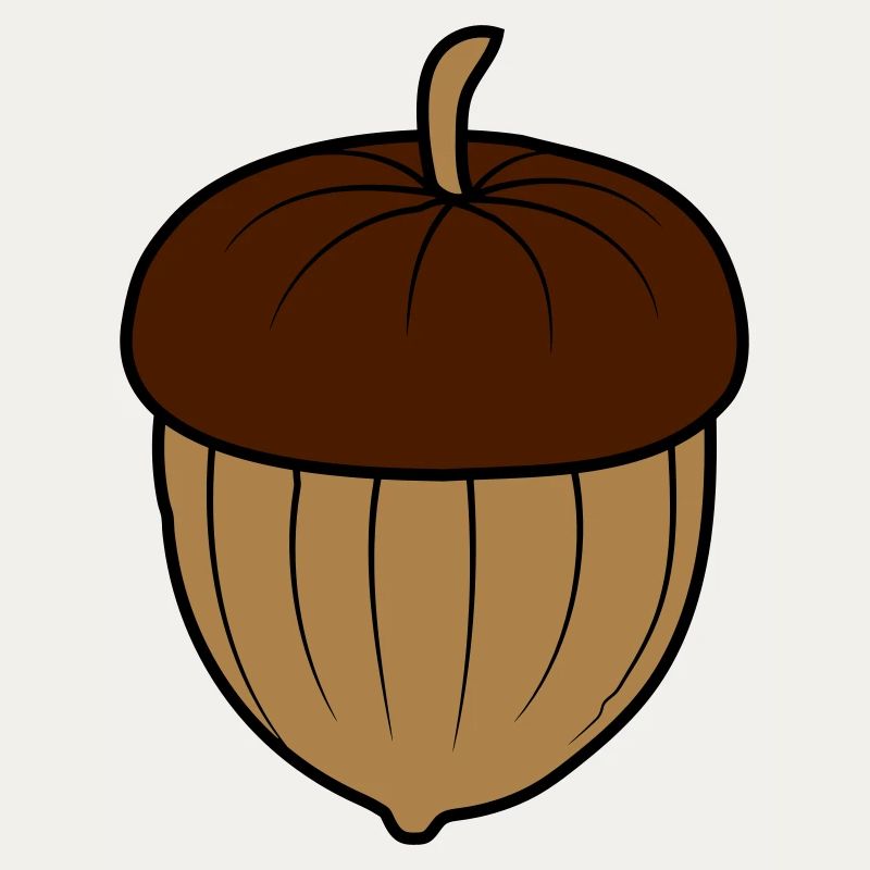 Conception de noix de gland