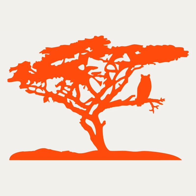 Afrika Savanne Baum Eule Vogel Nacht Silhouette