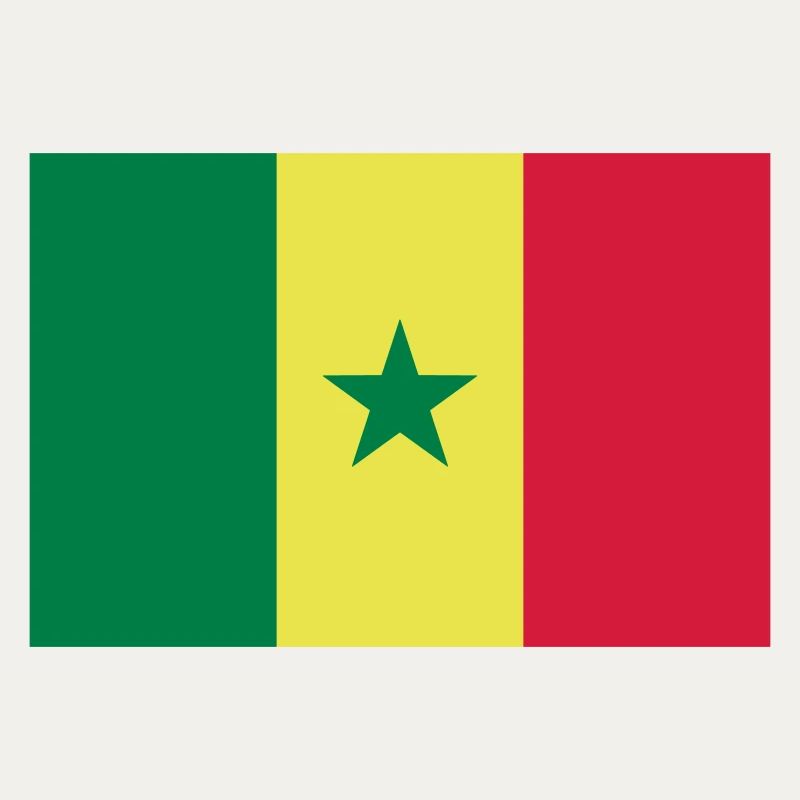 Drapeau Sénégal / Senegal flag