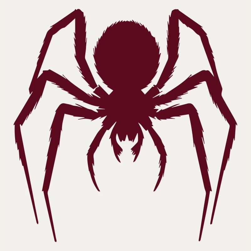Hairy Spider