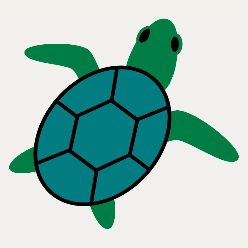 turtle