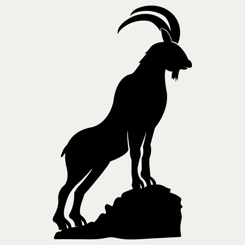 Capricorn 2