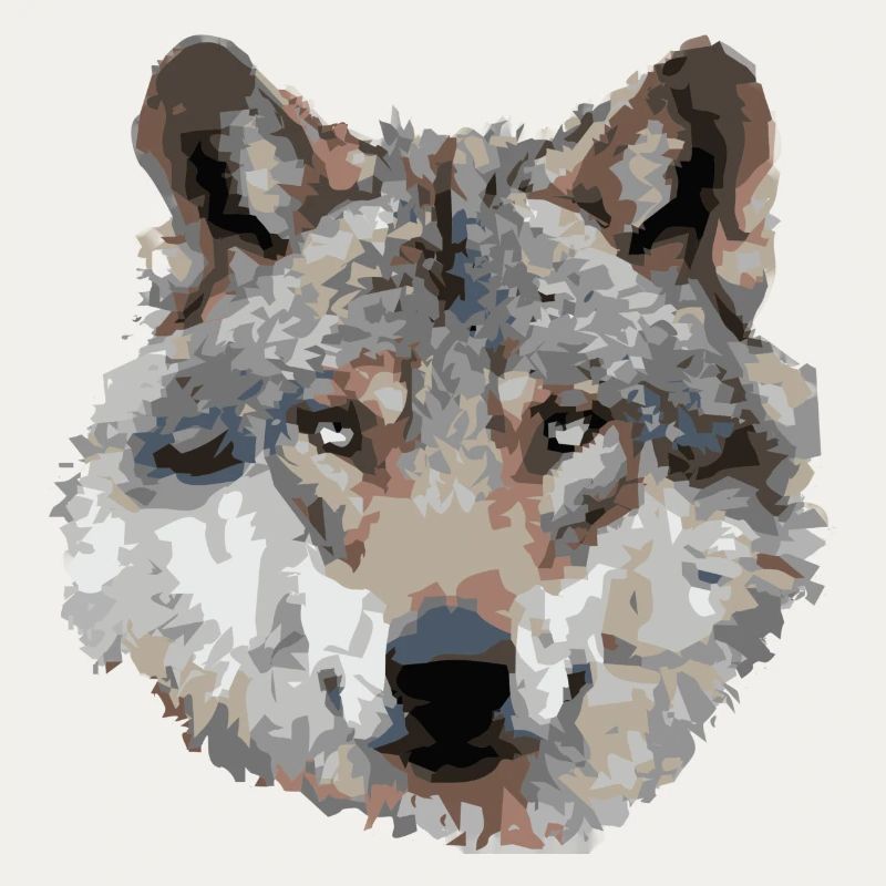 Wolf (grau)