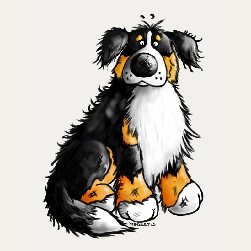 "Bernie" - Bouvier Bernois - Chien