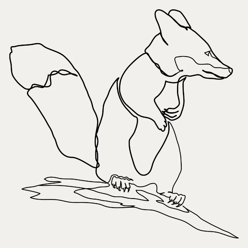 Fuchs Eichhörnchen Squirrel Fox