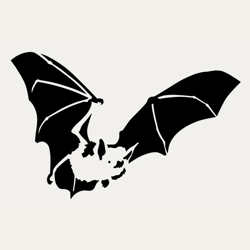 Fledermaus