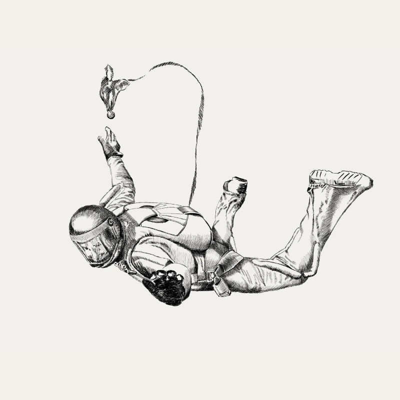Skydiver