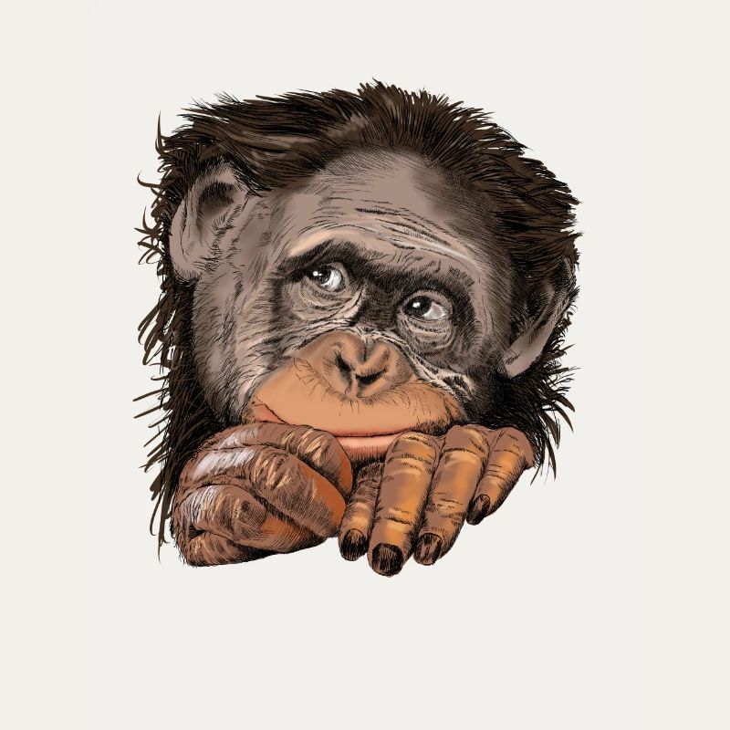 Affe