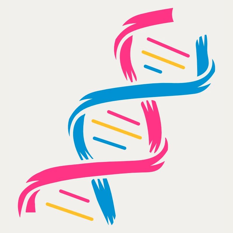 Die Struktur eines DNA-Moleküls
