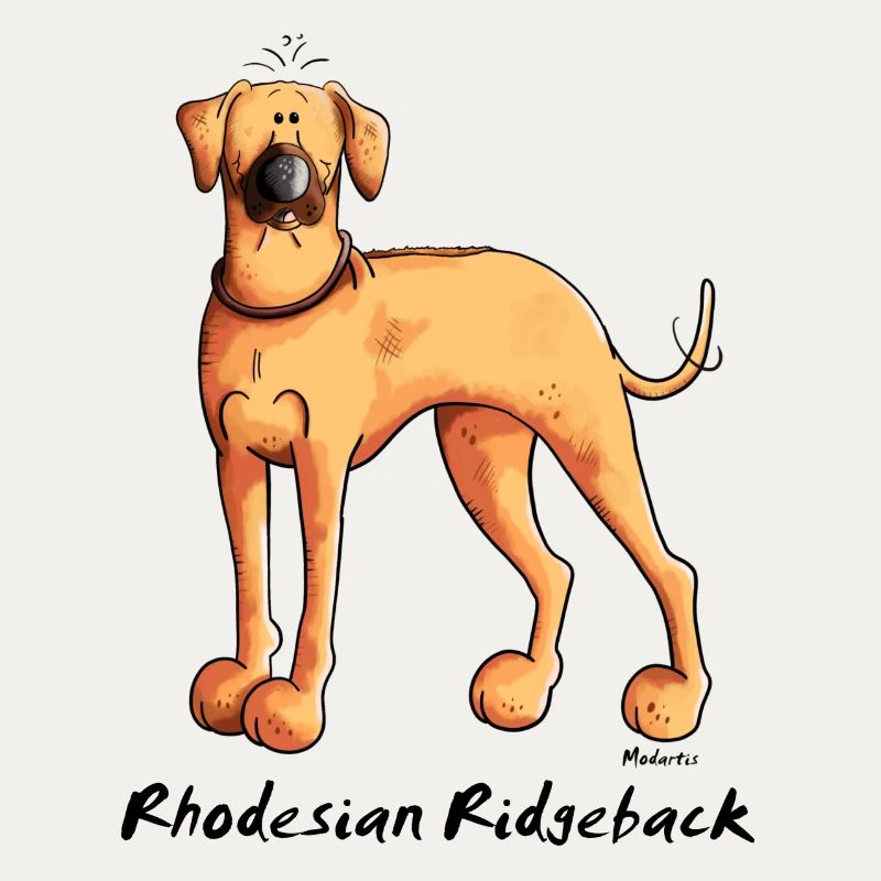 Drôle Rhodesian Ridgeback