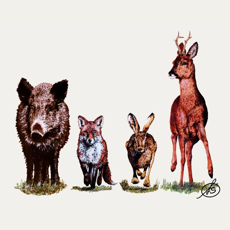 Wild Quartet
