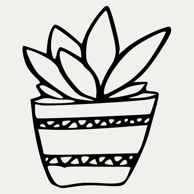 Plante