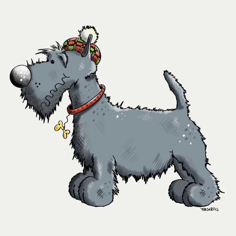 Funny Scottish Terrier