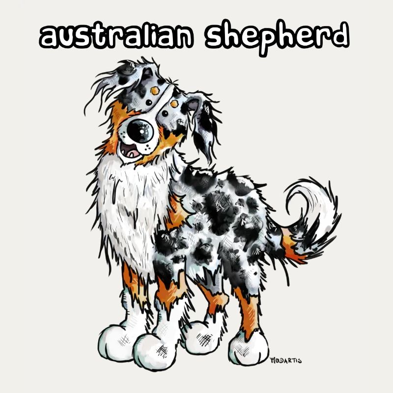 Süßer Australian Shepherd