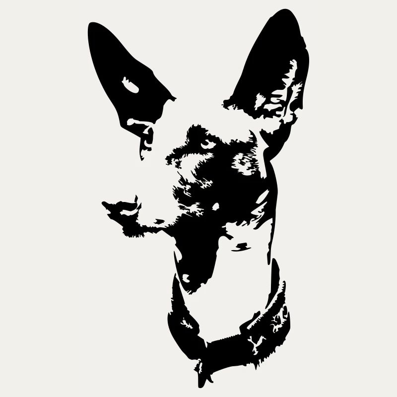 Podenco head