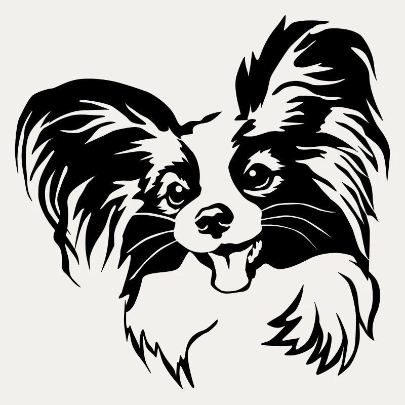 Tête de Papillon