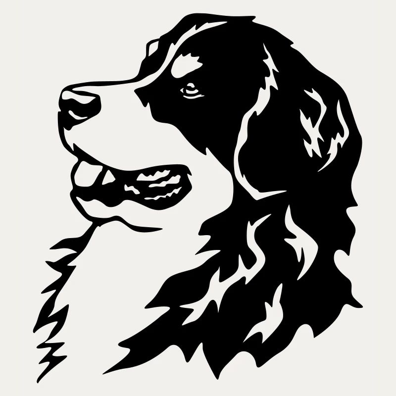 Bernese Mountain Dog head