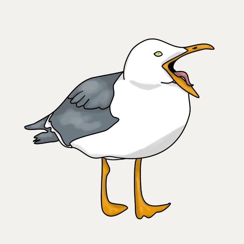 Möwe - Seagull