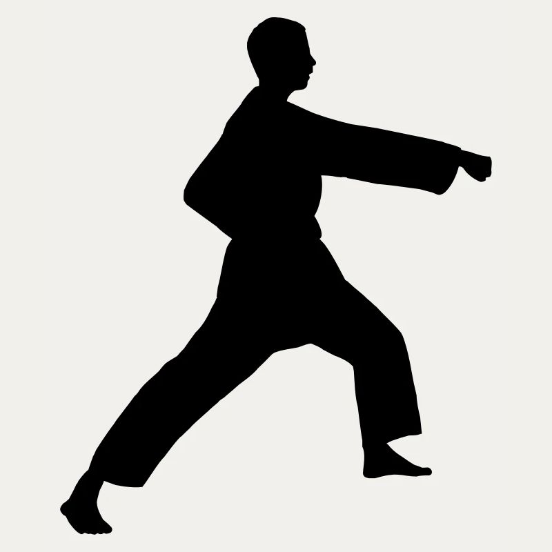 Punsch Karate oder Teakwondo Punsch