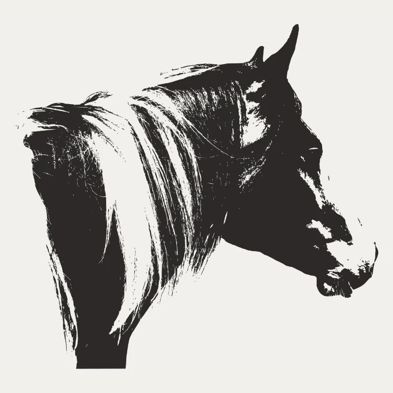 Lewitzer Schecke, Pferd Schecke, Pinto