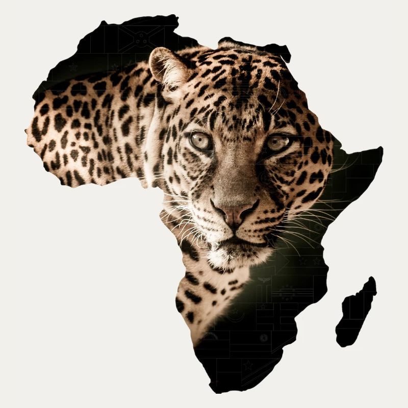 afrique léopard