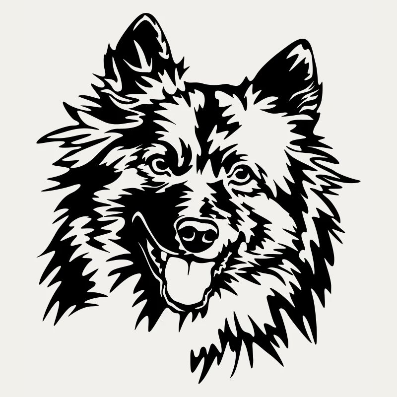Wolfsspitz Kopf
