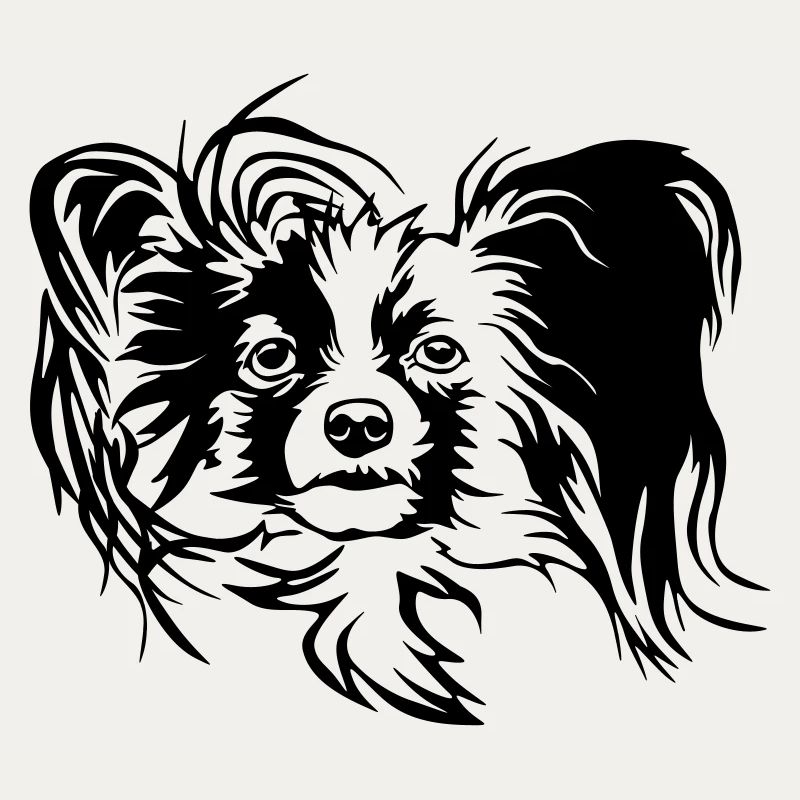 Papillon Kopf