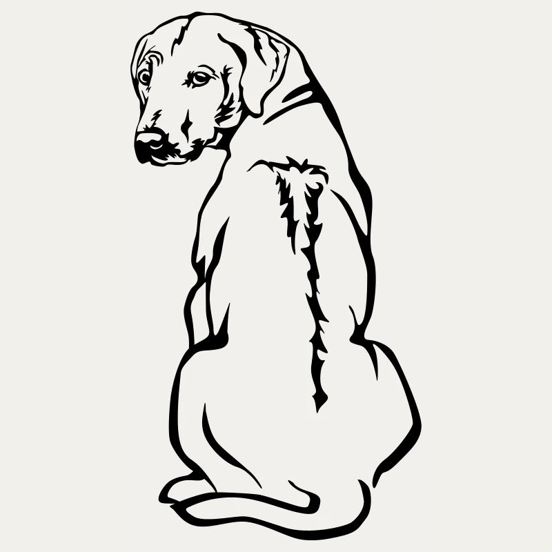 Rhodesian Ridgeback