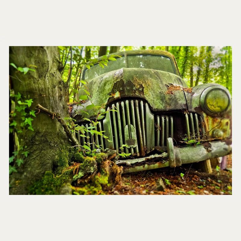 Waldverfall: Rostige Autoüberreste