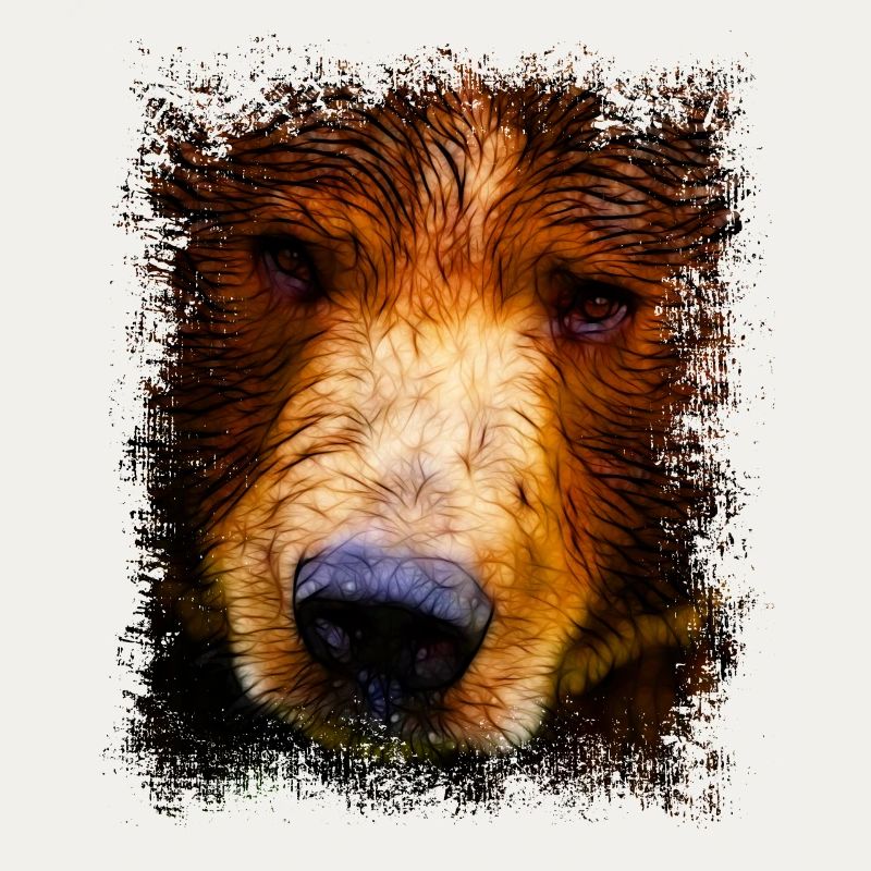 Ours ours brun yeux