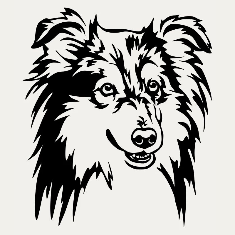 Tête de Sheltie