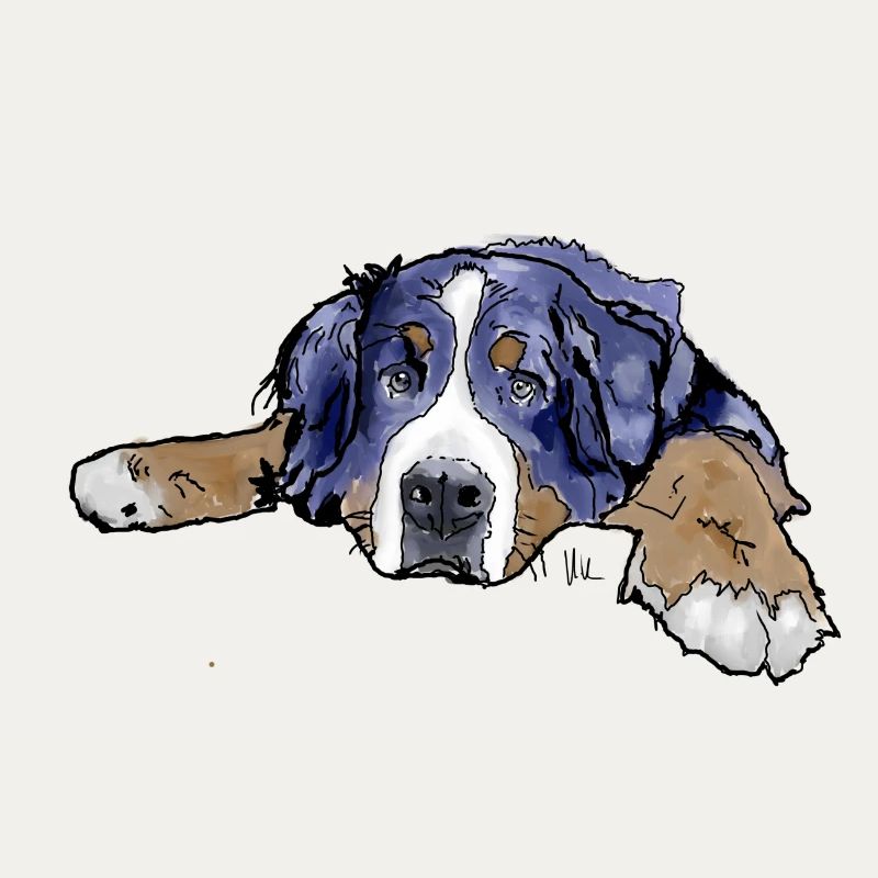 Berner Sennenhund