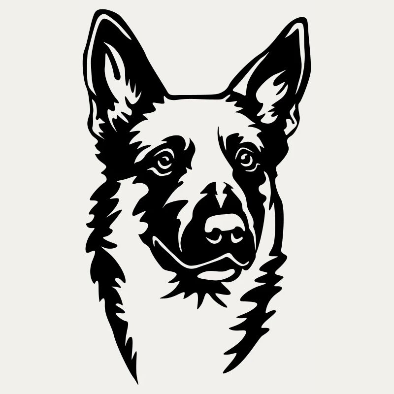 Malinois Kopf