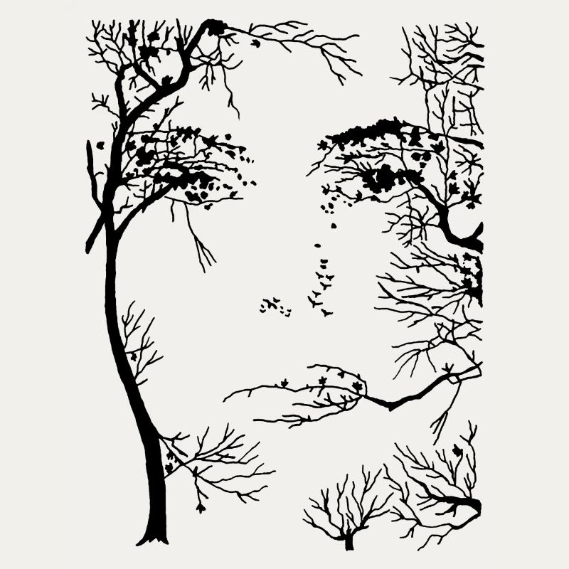 Visage de la forêt (noir)