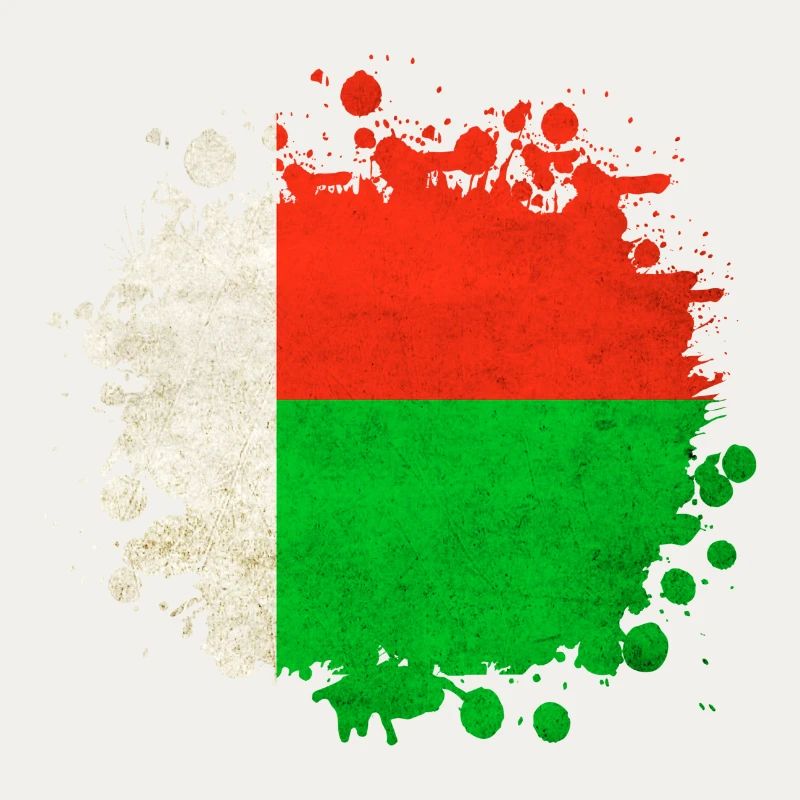 Madagascar flags blob