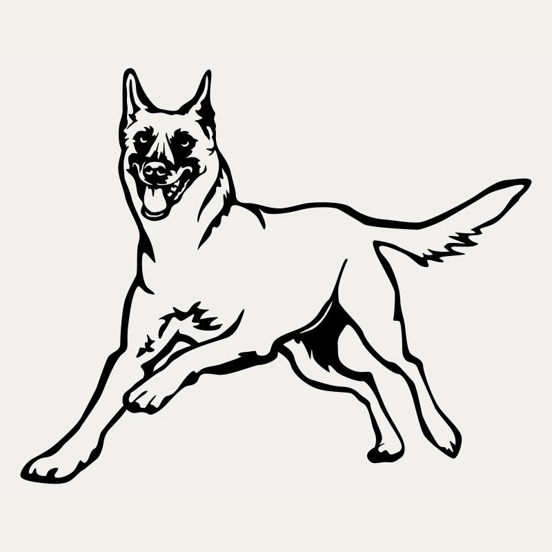 Malinois